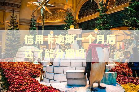 信用卡逾期一个月后还了能分期吗 信用卡逾期一个月后还了能分期吗