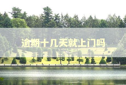 逾期十几天就上门吗