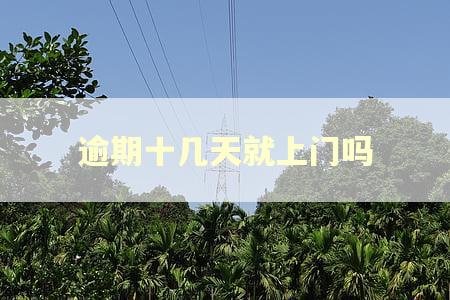 逾期十几天就上门吗