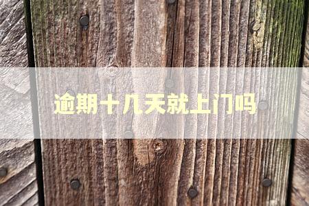 逾期十几天就上门吗 逾期十几天就上门吗