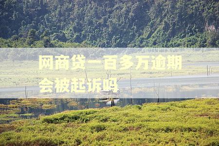 网商贷一百多万逾期会被起诉吗