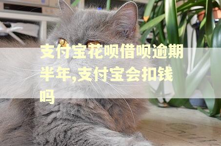 支付宝花呗借呗逾期半年,支付宝会扣钱吗