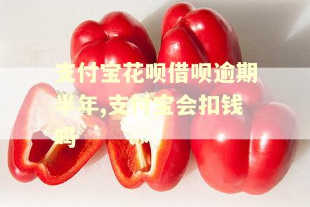 支付宝花呗借呗逾期半年,支付宝会扣钱吗
