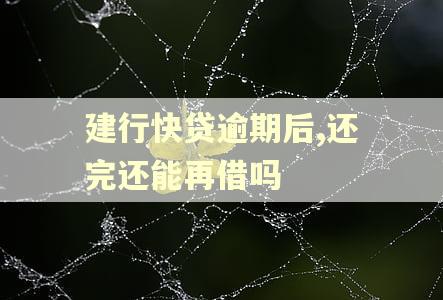 建行快贷逾期后,还完还能再借吗