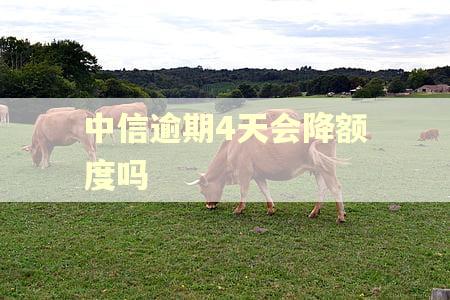 中信逾期4天会降额度吗