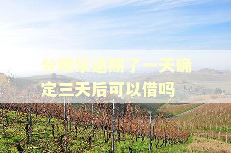 分期乐逾期了一天确定三天后可以借吗