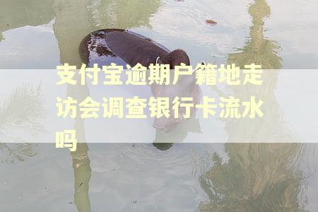 支付宝逾期户籍地走访会调查银行卡流水吗