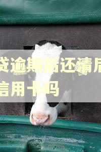 网贷逾期后还清后能办信用卡吗
