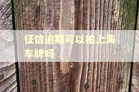 征信逾期可以拍上海车牌吗