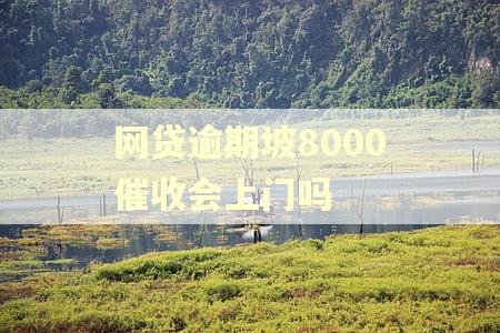 网贷逾期坡8000催收会上门吗