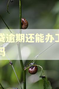 网贷逾期还能办工资卡吗