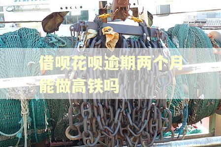 借呗花呗逾期两个月能做高铁吗 借呗花呗逾期两个月能做高铁吗