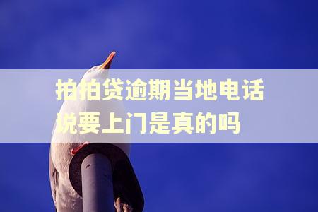 拍拍贷逾期当地电话说要上门是真的吗