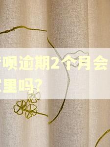 借呗逾期2个月会去家里吗?