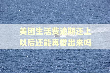 美团生活费逾期还上以后还能再借出来吗