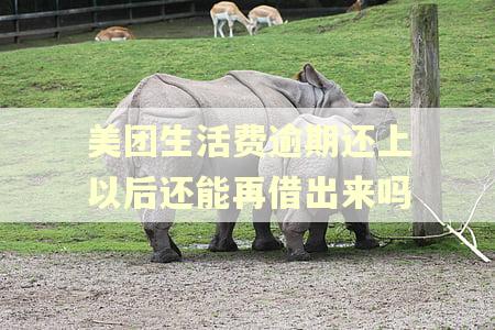 美团生活费逾期还上以后还能再借出来吗