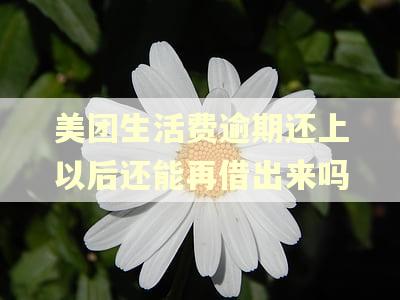 美团生活费逾期还上以后还能再借出来吗