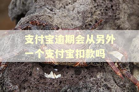 支付宝逾期会从另外一个支付宝扣款吗