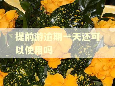 提前游逾期一天还可以使用吗