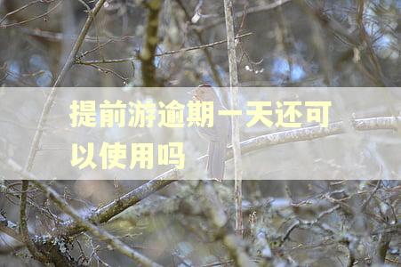 提前游逾期一天还可以使用吗