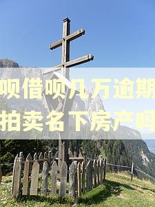 花呗借呗几万逾期会被拍卖名下房产吗