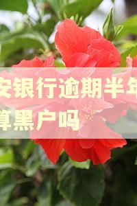平安银行逾期半年还款算黑户吗