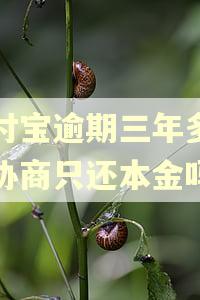 支付宝逾期三年多可以协商只还本金吗