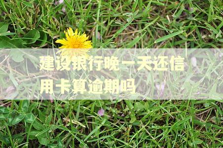 建设银行晚一天还信用卡算逾期吗