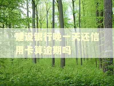 建设银行晚一天还信用卡算逾期吗