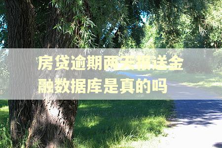 房贷逾期两天报送金融数据库是真的吗