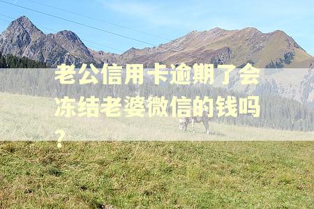 老公信用卡逾期了会冻结老婆微信的钱吗?