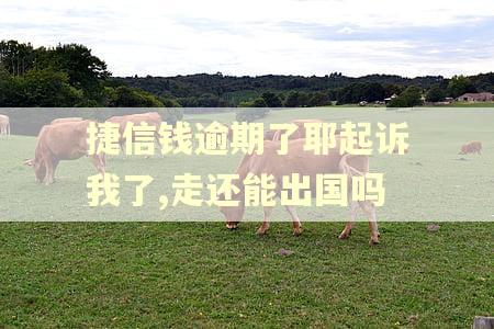 捷信钱逾期了耶起诉我了,走还能出国吗