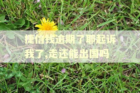 捷信钱逾期了耶起诉我了,走还能出国吗