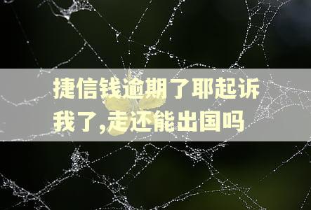 捷信钱逾期了耶起诉我了,走还能出国吗 捷信钱逾期了耶起诉我了,走还能出国吗
