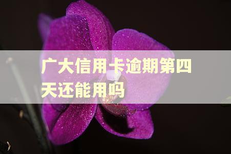 广大信用卡逾期第四天还能用吗