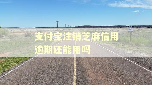 支付宝注销芝麻信用逾期还能用吗