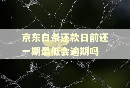 京东白条还款日前还一期最低会逾期吗