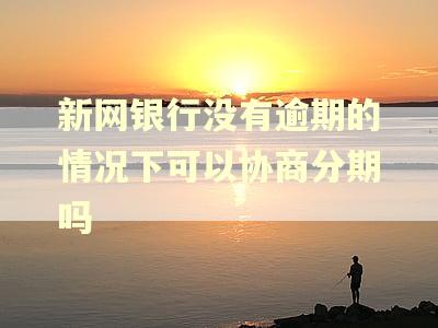 新网银行没有逾期的情况下可以协商分期吗 新网银行没有逾期的情况下可以协商分期吗