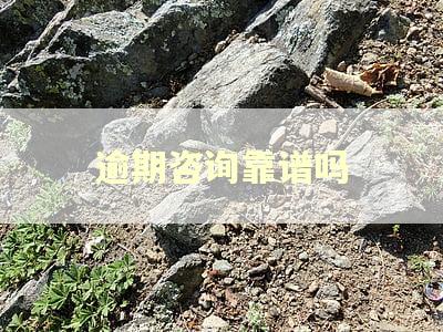 逾期咨询靠谱吗
