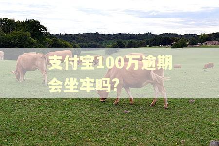 支付宝100万逾期会坐牢吗?