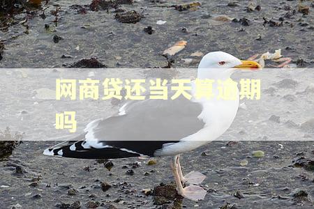 网商贷还当天算逾期吗