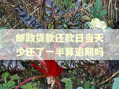 邮政贷款还款日当天少还了一半算逾期吗