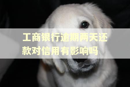 工商银行逾期两天还款对信用有影响吗