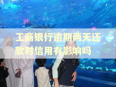工商银行逾期两天还款对信用有影响吗