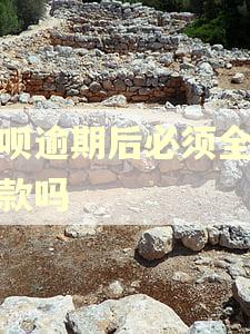 花呗逾期后必须全额还款吗
