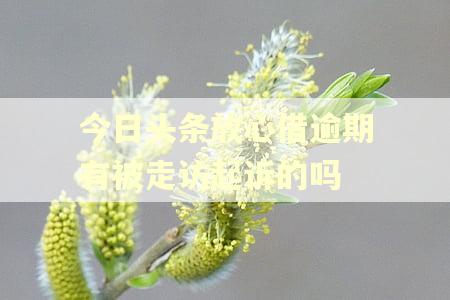 今日头条放心借逾期有被走访起诉的吗