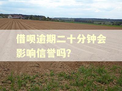 借呗逾期二十分钟会影响信誉吗？