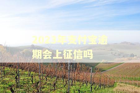 2023年支付宝逾期会上征信吗