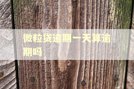 微粒贷逾期一天算逾期吗
