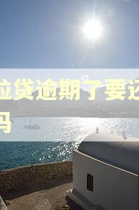 微粒贷逾期了要还全款吗